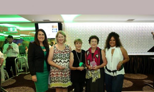 Dr Marie Leech recognised in Brigid Awards